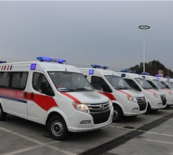 香格里拉市服务车队展示